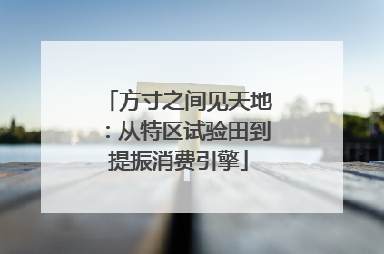 方寸之间见天地：从特区试验田到提振消费引擎