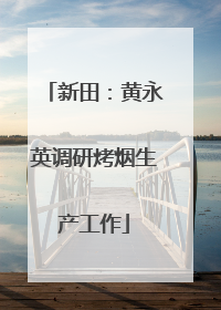 新田：黄永英调研烤烟生产工作