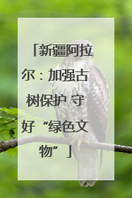 新疆阿拉尔：加强古树保护 守好“绿色文物”