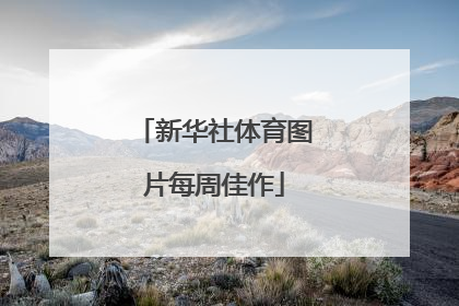 新华社体育图片每周佳作