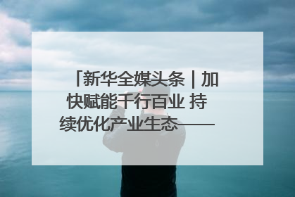 新华全媒头条｜加快赋能千行百业 持续优化产业生态——浙江推动人工智能健康有序发展观察