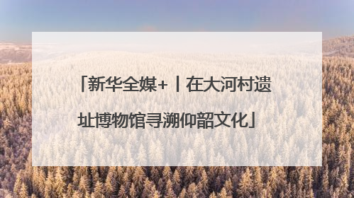 新华全媒+丨在大河村遗址博物馆寻溯仰韶文化