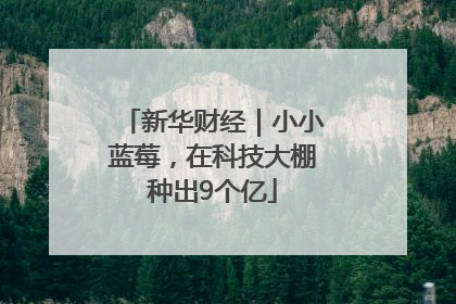 新华财经｜小小蓝莓，在科技大棚种出9个亿