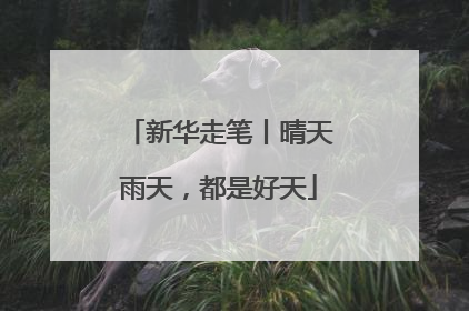 新华走笔丨晴天雨天，都是好天