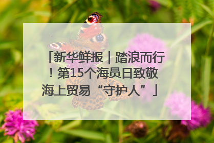 新华鲜报｜踏浪而行！第15个海员日致敬海上贸易“守护人”