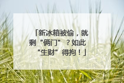 新冰箱被偷，就剩“俩门”？如此“生财”得拘！
