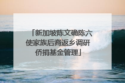 新加坡陈文确陈六使家族后裔返乡调研侨捐基金管理
