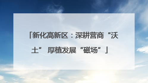 新化高新区：深耕营商“沃土” 厚植发展“磁场”
