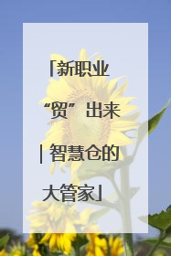 新职业 “贸”出来｜智慧仓的大管家