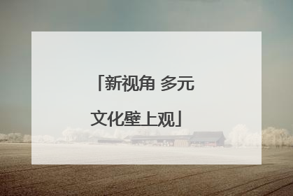 新视角 多元文化壁上观