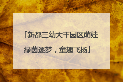 新都三幼大丰园区萌娃绿茵逐梦，童趣飞扬