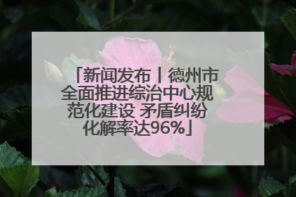 新闻发布丨德州市全面推进综治中心规范化建设 矛盾纠纷化解率达96%
