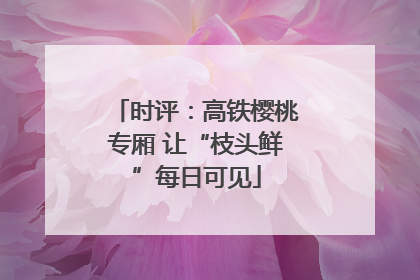 时评：高铁樱桃专厢 让“枝头鲜”每日可见