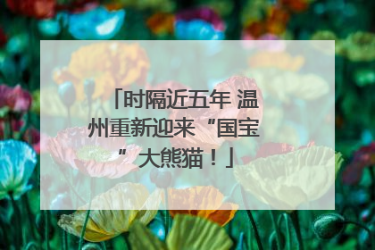 时隔近五年 温州重新迎来“国宝”大熊猫！