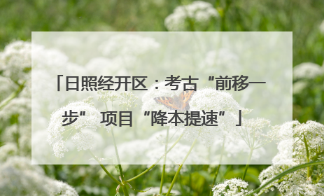 日照经开区：考古“前移一步” 项目“降本提速”