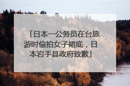 日本一公务员在台旅游时偷拍女子裙底，日本岩手县政府致歉