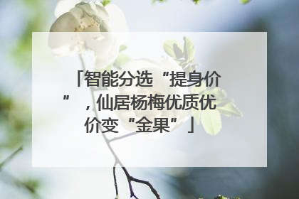 智能分选“提身价”，仙居杨梅优质优价变“金果”