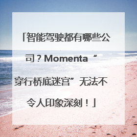 智能驾驶都有哪些公司？Momenta“穿行桥底迷宫”无法不令人印象深刻！