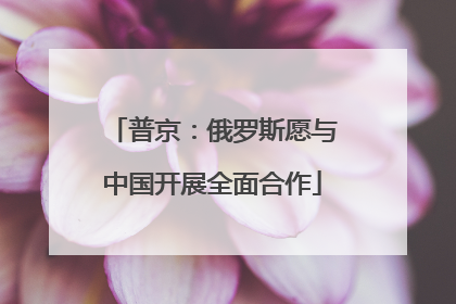 普京：俄罗斯愿与中国开展全面合作