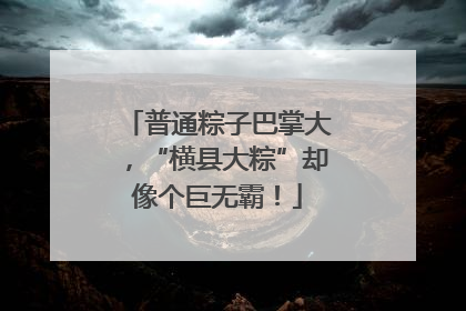 普通粽子巴掌大，“横县大粽”却像个巨无霸！