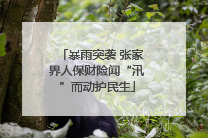 暴雨突袭 张家界人保财险闻“汛”而动护民生
