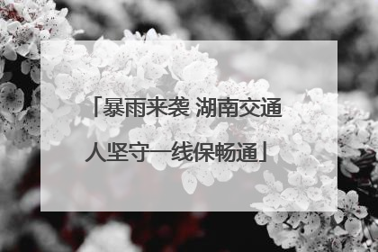 暴雨来袭 湖南交通人坚守一线保畅通