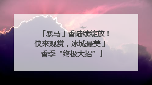 暴马丁香陆续绽放！快来观赏，冰城最美丁香季“终极大招”