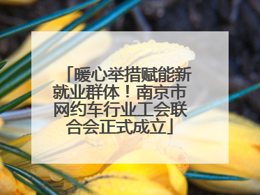 暖心举措赋能新就业群体！南京市网约车行业工会联合会正式成立