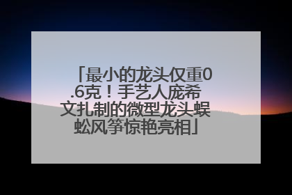 最小的龙头仅重0.6克！手艺人庞希文扎制的微型龙头蜈蚣风筝惊艳亮相