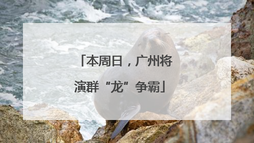 本周日，广州将演群“龙”争霸