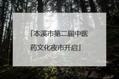 本溪市第二届中医药文化夜市开启