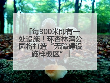 每300米即有一处设施！环杏林湾公园将打造“无障碍设施样板区”