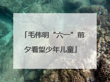 毛伟明“六一”前夕看望少年儿童