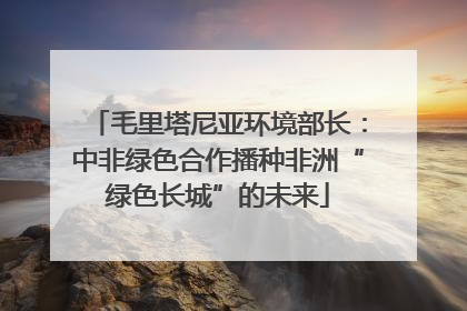 毛里塔尼亚环境部长：中非绿色合作播种非洲“绿色长城”的未来