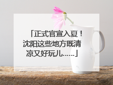 正式官宣入夏！沈阳这些地方既清凉又好玩儿……
