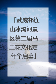 武威祁连山冰沟河景区第二届马兰花文化嘉年华启幕