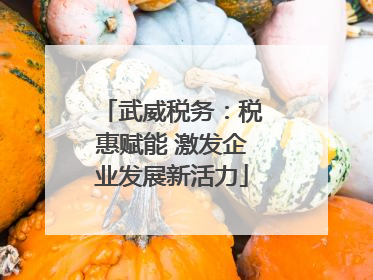 武威税务：税惠赋能 激发企业发展新活力