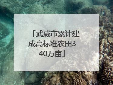 武威市累计建成高标准农田340万亩