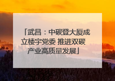 武昌：中碳登大厦成立楼宇党委 推进双碳产业高质量发展