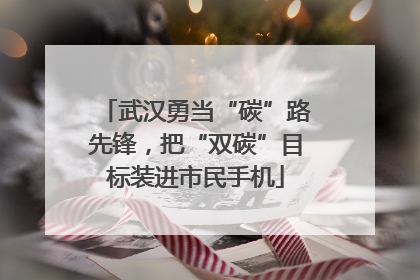 武汉勇当“碳”路先锋，把“双碳”目标装进市民手机