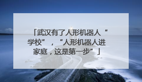 武汉有了人形机器人“学校”，“人形机器人进家庭，这是第一步”