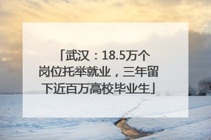 武汉：18.5万个岗位托举就业，三年留下近百万高校毕业生