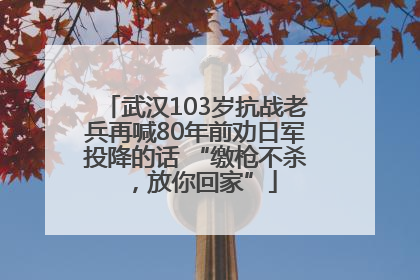 武汉103岁抗战老兵再喊80年前劝日军投降的话 “缴枪不杀，放你回家”