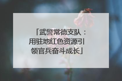 武警常德支队：用驻地红色资源引领官兵奋斗成长
