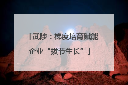 武陟：梯度培育赋能企业“拔节生长”
