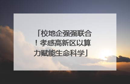 校地企强强联合！孝感高新区以算力赋能生命科学