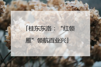 桂东东洛：“红领雁”领航百业兴