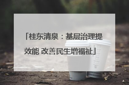 桂东清泉：基层治理提效能 改善民生增福祉