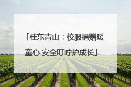 桂东青山：校服捐赠暖童心 安全叮咛护成长