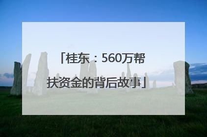 桂东：560万帮扶资金的背后故事